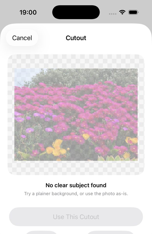 The Cutout screen showing a 'No clear subject found' message with Retake and Use Original options